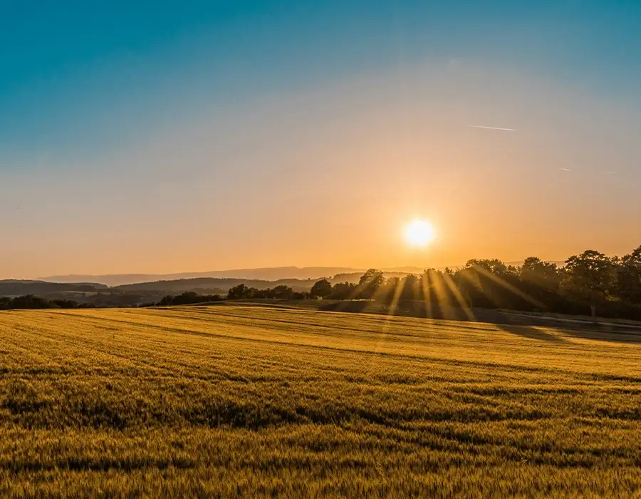 Runwal Upcomingz Mumbai