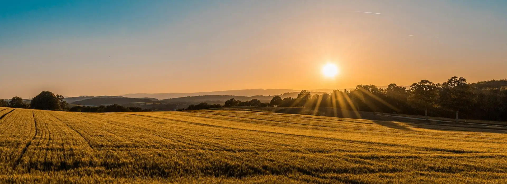 Runwal Upcomingz Mumbai