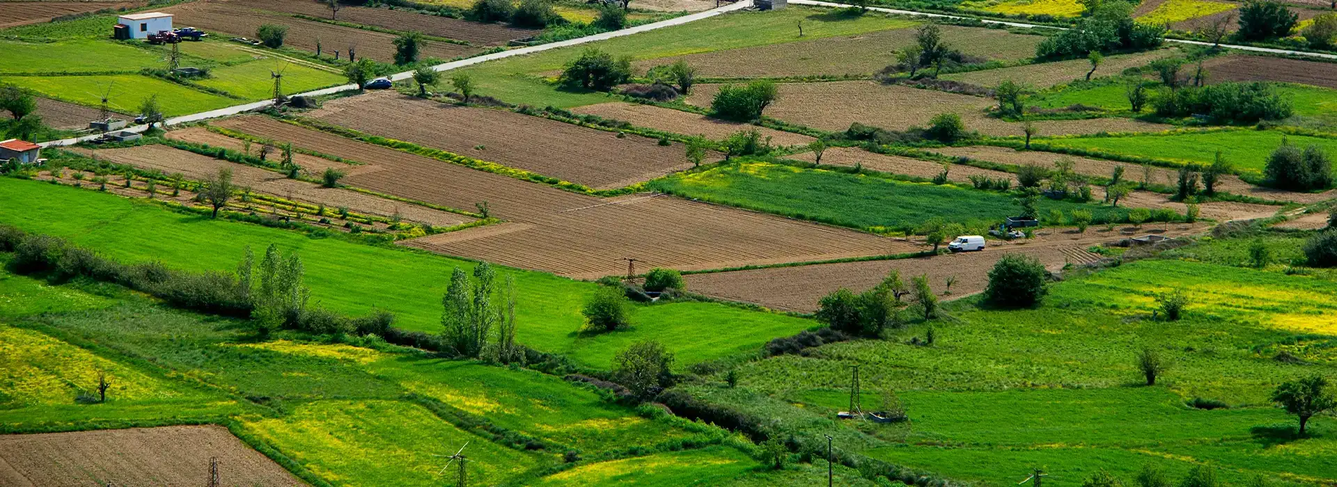 Runwal Flats Alibaug